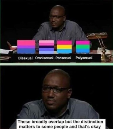 a still of Hannibal Buress, with four flags labeled “Bisexual / Omnisexual / Pansexual / Polysexual,” followed by: “These broadly overlap but the distinction matters to some people and that’s okay.”